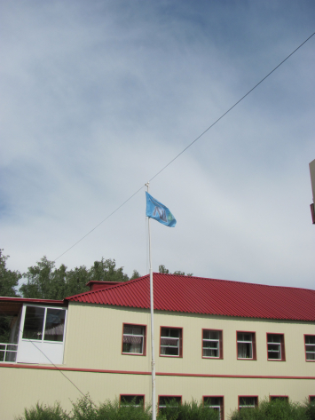Флаг ЛШЮП на флагштоке лагеря "Солнечная поляна"