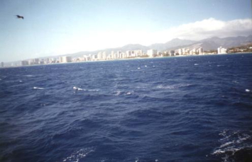 Вид на Гонолулу с океана