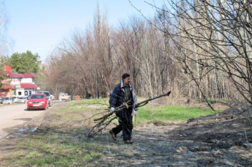 Заготовка дров