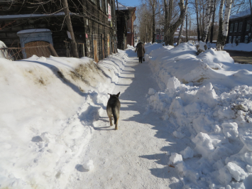 Поездка в Томск. 24-25.02.2017