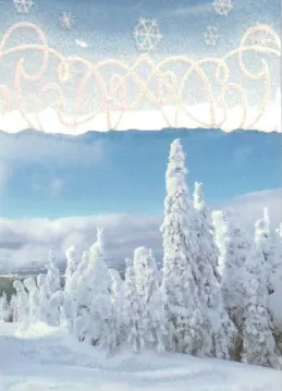 Поздравление от партнеров и друзей из АО «ИСС имени академика М.Ф. Решетнёва» Поздравление от партнеров и друзей из АО «ИСС имени академика М.Ф. Решетнёва»