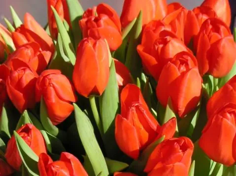 8 марта 8 марта