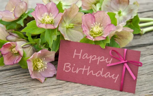 Поздравляем С.Н. Касьянову с Днем рождения!